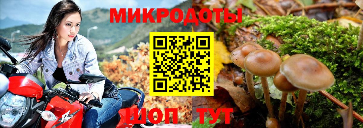 Саров  закладки  Вход с VPN  Галлюциногенные грибы Psilocybine cubensis 